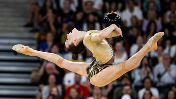 ����� �����������